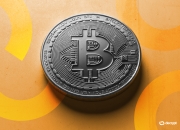 黑天鹅下别当韭菜！Websea 家人为啥不爆仓？机制硬 + 高返佣，交易所亏了也能回血