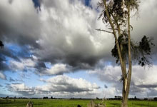 加密代理看过来！Websea 拉人赚 50% 奖励 + 80%-90% 返佣，10 人躺赚 8000U