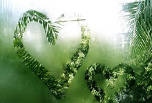 加密代理看过来！Websea 拉人赚 50% 奖励 + 80%-90% 返佣，10 人躺赚 8000U